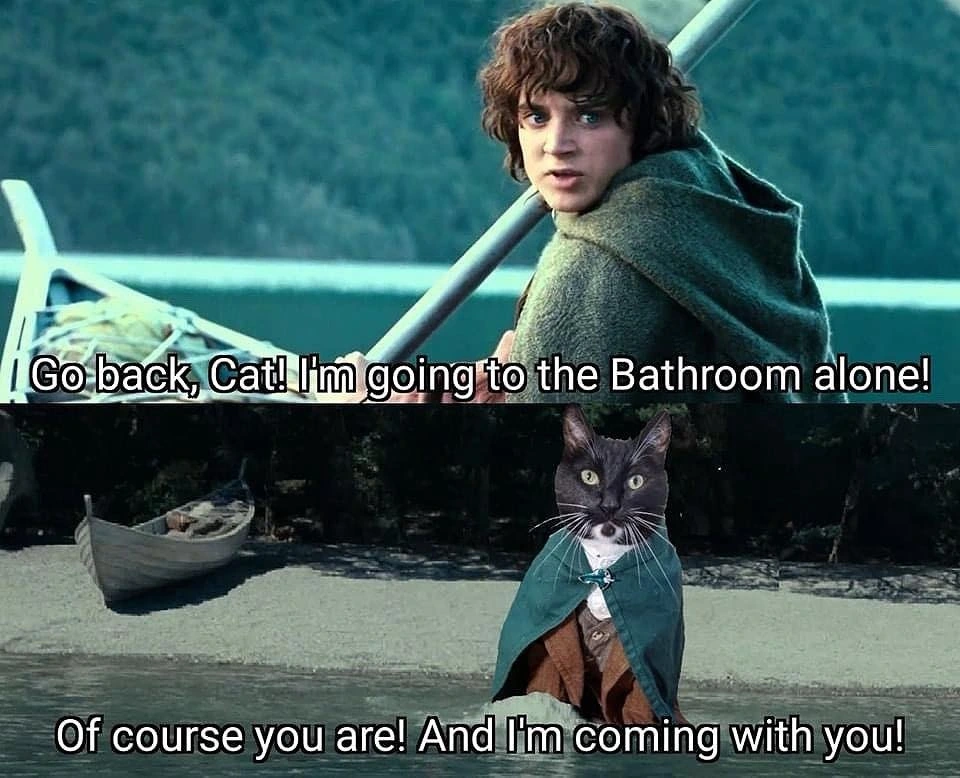 Cat will always come with you