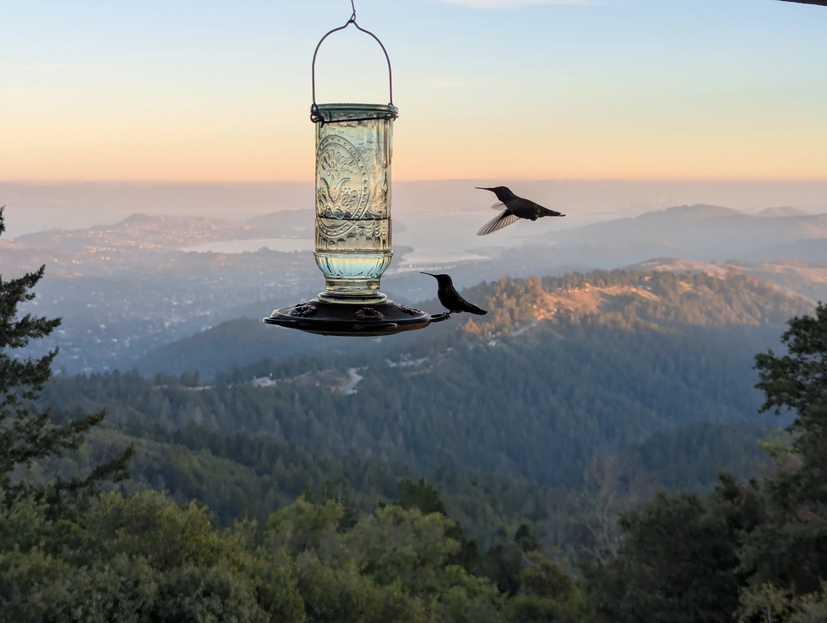 One of my favorite pics I've taken