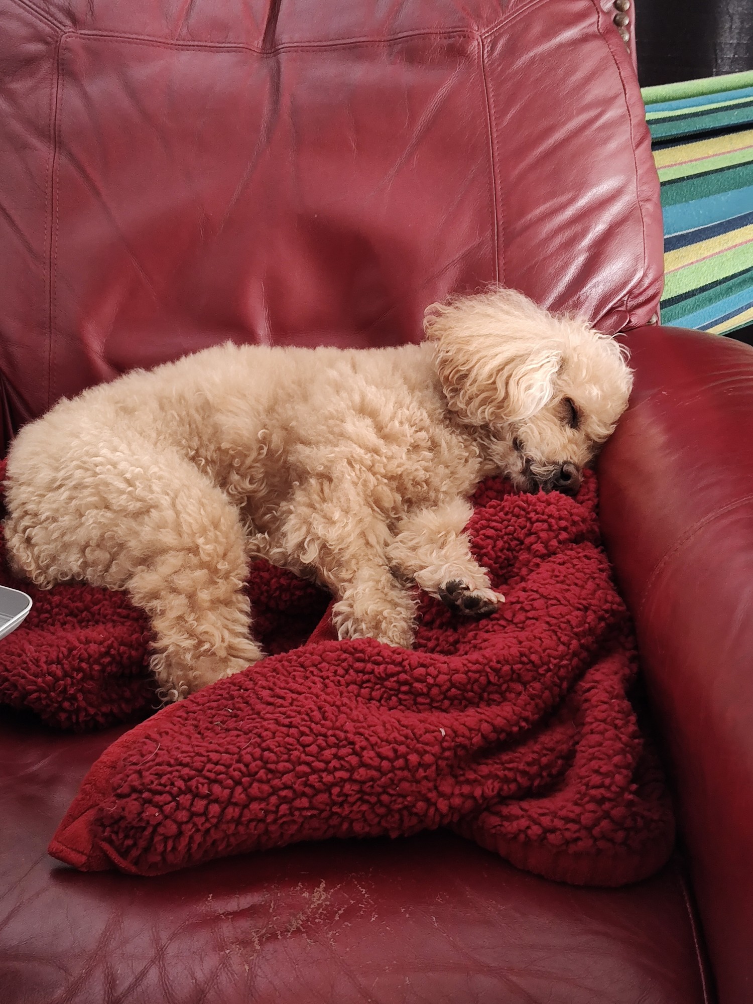 his name is tim the enchanter and he will make your heart explode