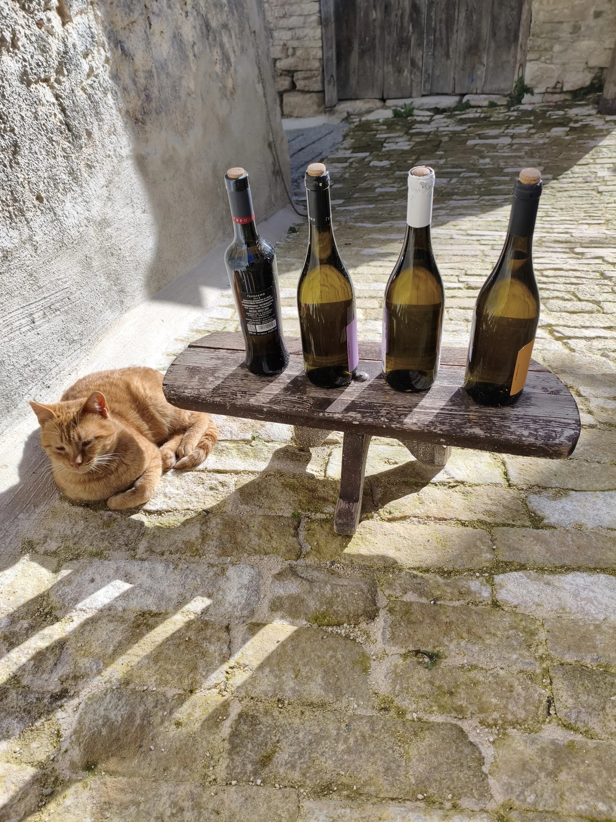 Welcome stranger. please choose your favorite beverage!