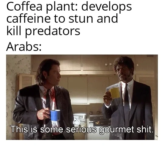 Thank you, Renaissance-era Arabs, for blessing us with this drink 🙏