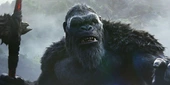 Godzilla vs. Kong Sequel Gets Exciting Filming Update