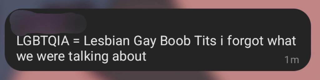 Screenshot of a single message received in a chat. It reads: "LGBTQIA = Lesbian Gay Boob Tits i forgot what we were talking about" 