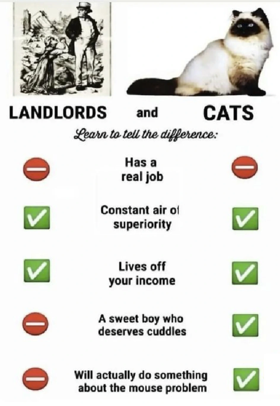 cats > landlords