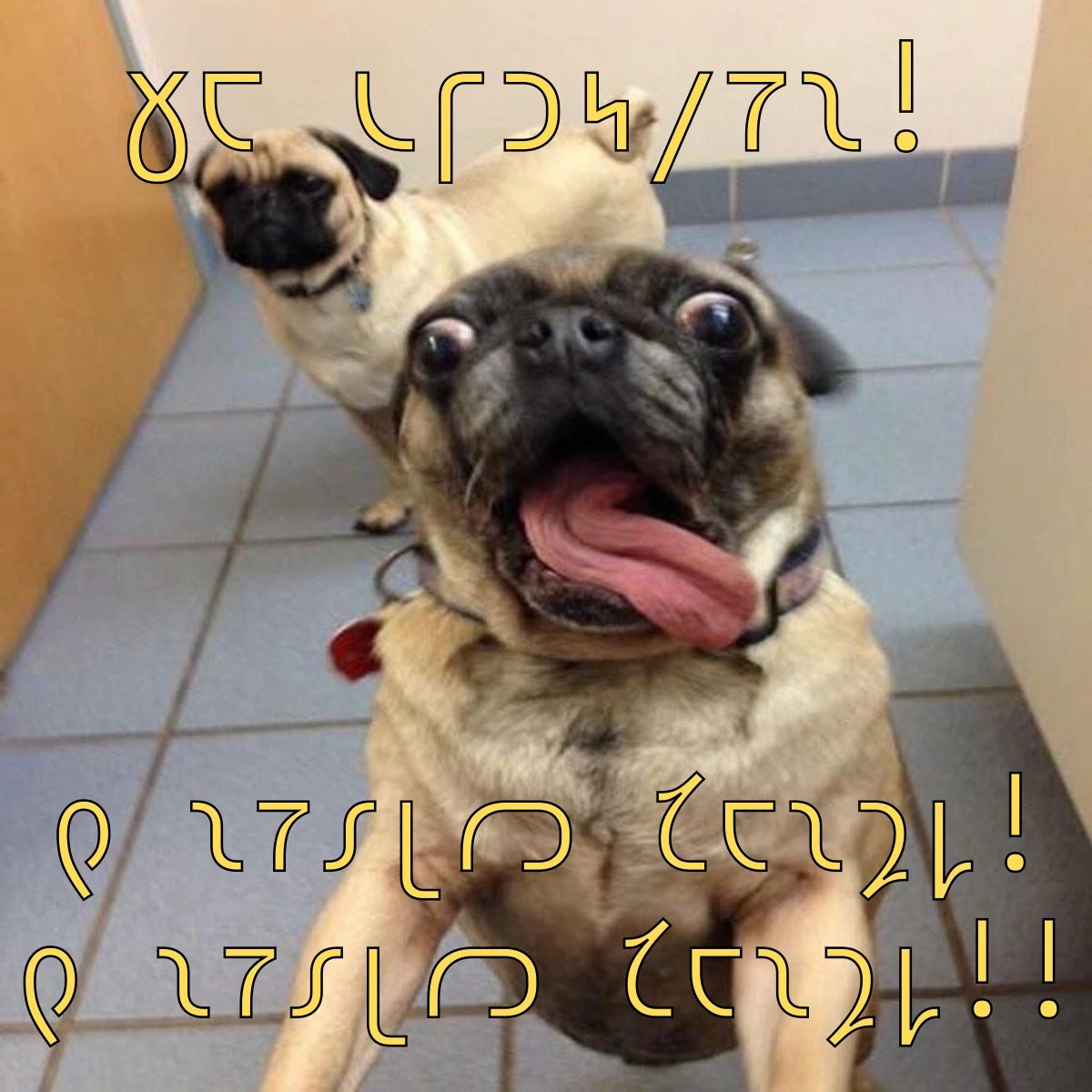 𐑚𐑳𐑑 𐑕𐑽𐑦𐑩𐑕𐑤𐑰, 𐑣𐑨𐑐𐑰 𐑯𐑿 𐑘𐑽!