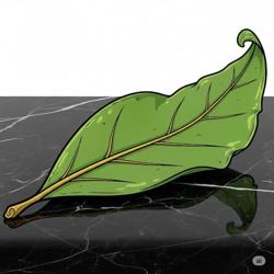 bayleaf